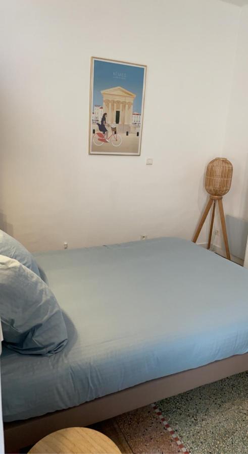 L'Ecrin Des Calquieres Apartment Nimes Luaran gambar